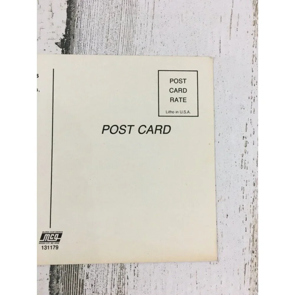 Vintage postcard horse